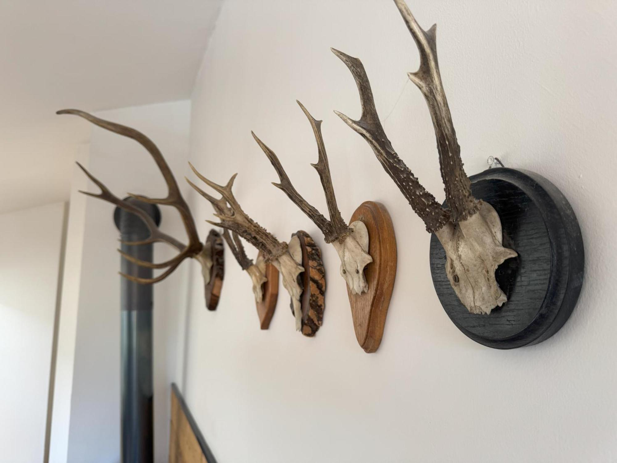 Berghaus Traumblick Apartment Bad Kleinkirchheim